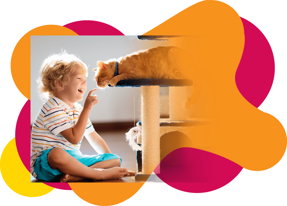 Cat Insurance